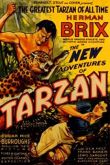 Tarzan As Novas Aventuras