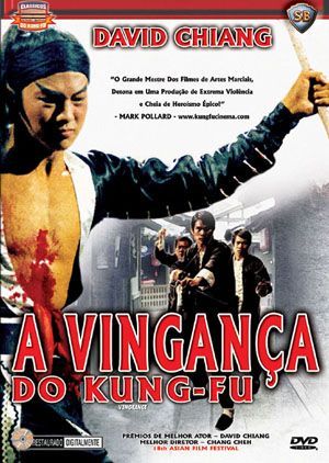 A VINGANÇA DO KUNG FU